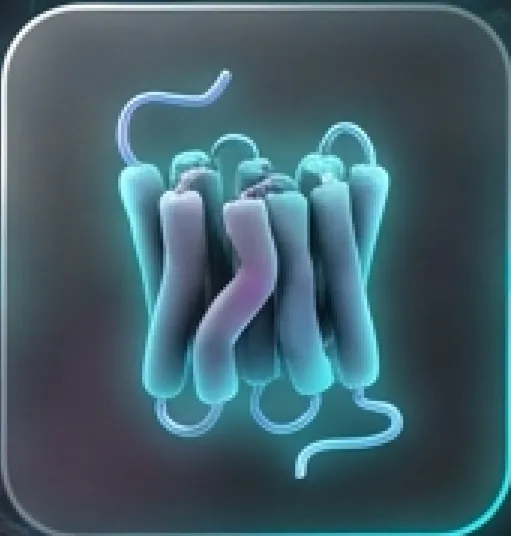 Receptor